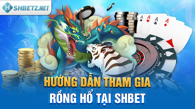 Hướng dẫn tham gia Rồng Hổ tại SHBET